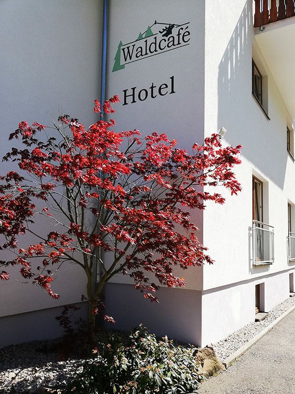 Waldcafé Baden-Baden, Hotel, Restaurant und Café